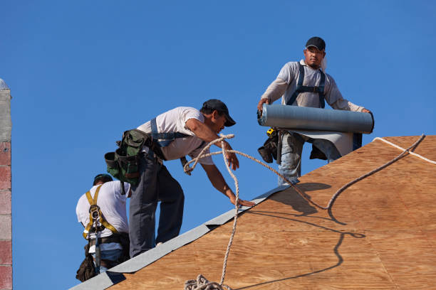 Best Roof Maintenance Services  in Eastlake, OH
